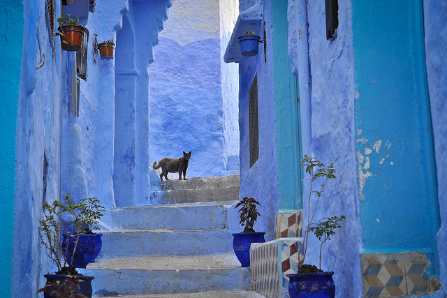 Marokkó - kék házfalak