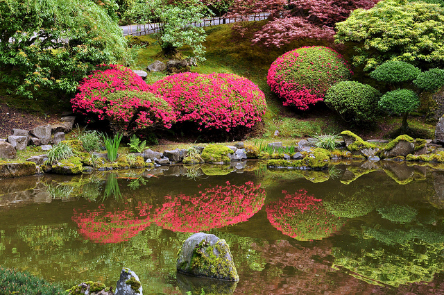 You are currently viewing Ilyen a világ egyik legszebb japánkertje
