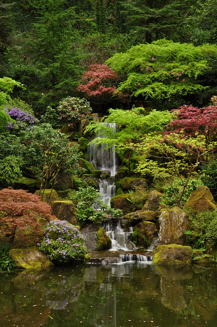 Japánkert Oregonban