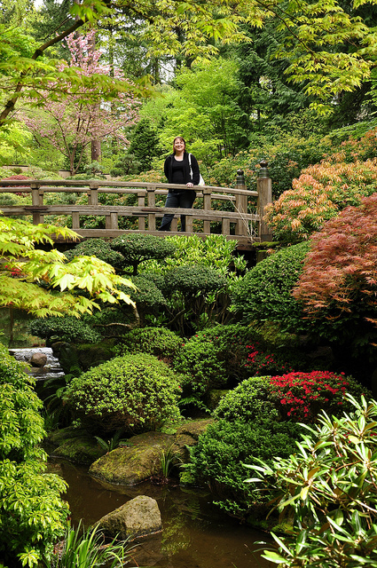 Japánkert az USA-ban