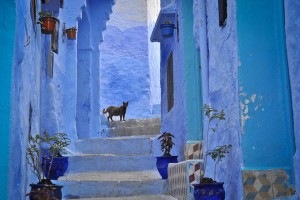 Read more about the article Marokkó kék városa
