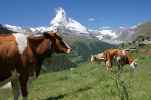 Read more about the article Matterhorn, Svájc leghíresebb hegycsúcsa