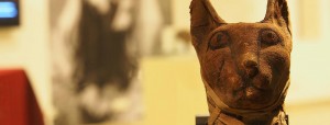 Read more about the article Öt kontinens különleges múmiái a Magyar Természettudományi Múzeumban