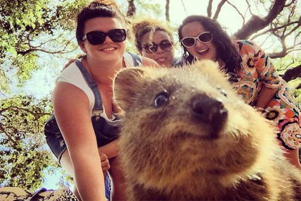 You are currently viewing Ausztrália állatai cukibbak, mint gondolnánk